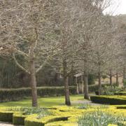 Enchanted Maze Garden