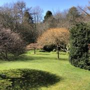 Forest Glade Gardens