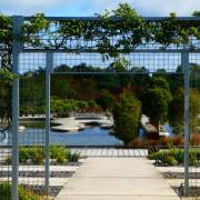 Royal Botanic Gardens Cranbourne 