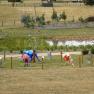 Chocolaterie Yarra Glen