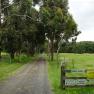 Rose Vista, Packenham