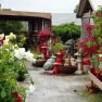 Banksia Nursery