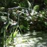 Alfred Nicholas Memorial Gardens