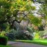 Abbotsford Convent