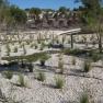 Royal Botanic Gardens Cranbourne