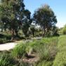 Royal Botanic Gardens Cranbourne