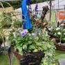 Melbourne International Flower and Garden Show 2019