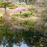 National Rhododendron Garden