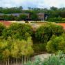 Royal Botanic Gardens Cranbourne 