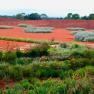 Royal Botanic Gardens Cranbourne 