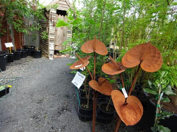 drouin nursery