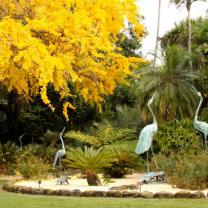 Geelong Botanic Gardens