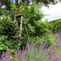 Rose Vista, Packenham