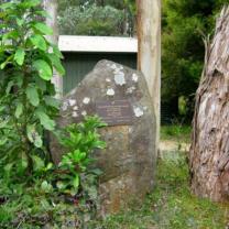 Ferny Creek Horticultural Society - Karwarra