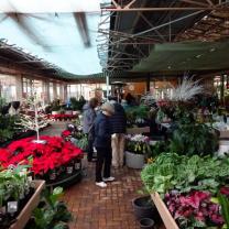 Banksia Nursery