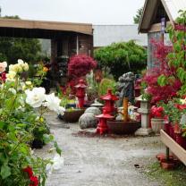 Banksia Nursery