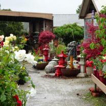 Banksia Nursery