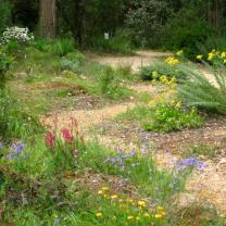 Ferny Creek Horticultural Society - Karwarra