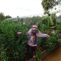 Mornington Community Garden