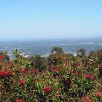 Skyhigh, Mt Dandenong