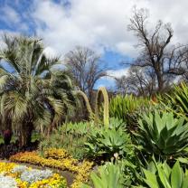 Fitzroy Gardens