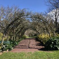 Forest Glade Gardens