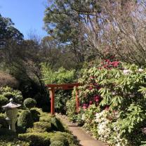 Forest Glade Gardens