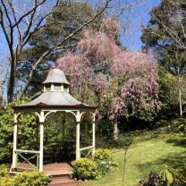 Forest Glade Gardens