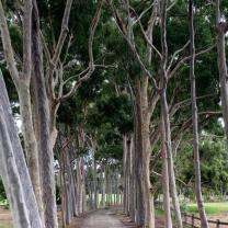 Cruden Farm, Langwarrin