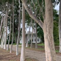 Cruden Farm, Langwarrin