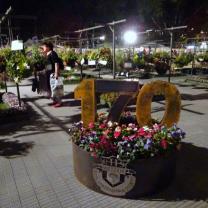 Royal Horticultural Society of Victoria - Hanging Basket Competition