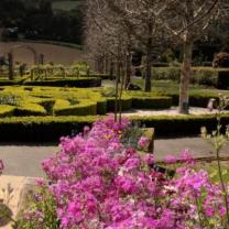 Enchanted Maze Garden