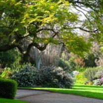 Abbotsford Convent