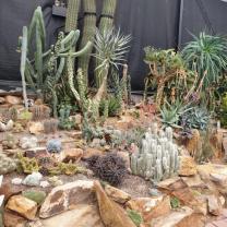 Collectors Corner, Garden world