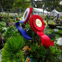 Royal Horticultural Society of Victoria - Hanging Basket Competition