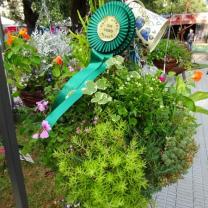 Royal Horticultural Society of Victoria - Hanging Basket Competition