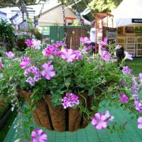 Melbourne International Flower and Garden Show