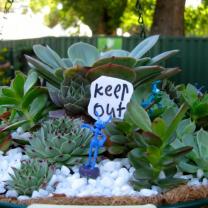 Melbourne International Flower and Garden Show