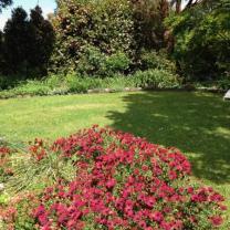 Country Farm Perennials