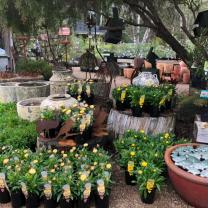 Kuranga Nursery, Mt Evelyn