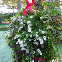 Melbourne International Flower and Garden Show