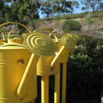 Royal Botanic Gardens Cranbourne