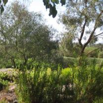 Royal Botanic Gardens Cranbourne