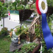 MIFGS - Hanging Basket Competition