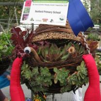 MIFGS - Hanging Basket Competition