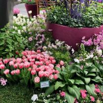 Melbourne International Flower and Garden Show 2019