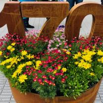 Melbourne International Flower and Garden Show 2019