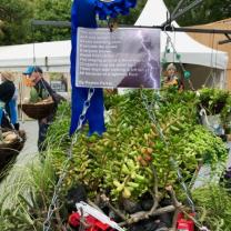 Melbourne International Flower and Garden Show 2019