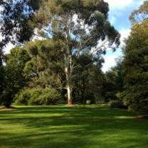 Maranoa Gardens