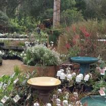 Kuranga Nursery, Mt Evelyn